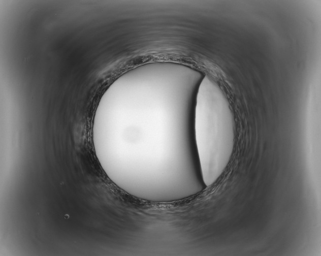 X0000087610966200704271058