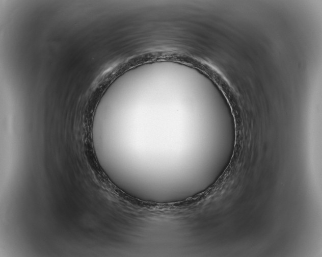 X0000087610967200704271058