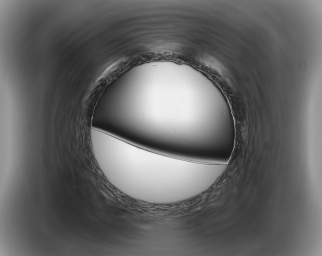 X0000087610968200704271058
