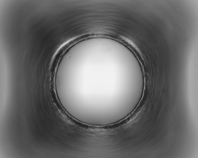 X0000087610971200704271058