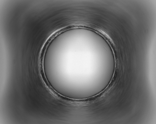 X0000087610976200704271058