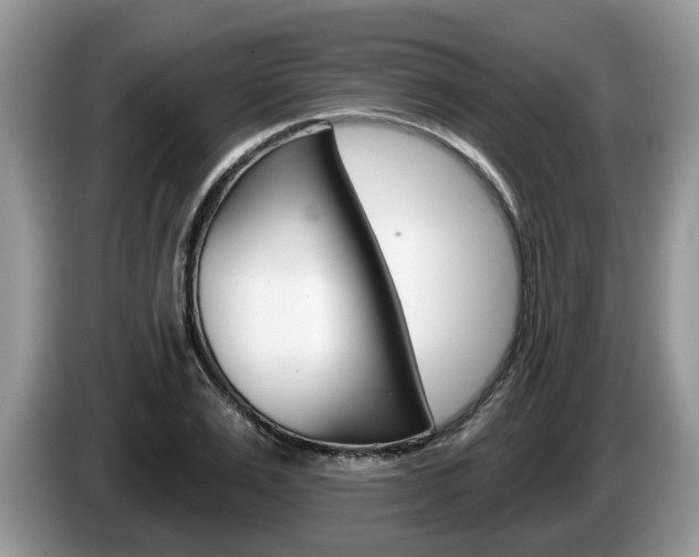 X0000087610983200704271058