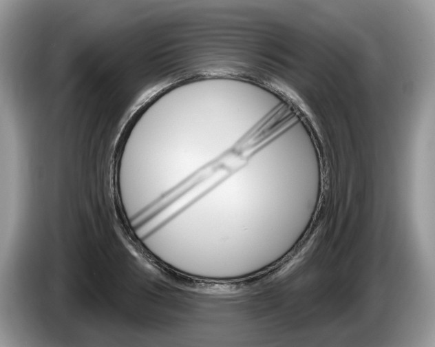 X0000087610986200704271058