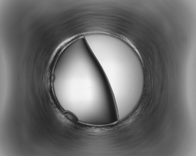 X0000087610987200704271058