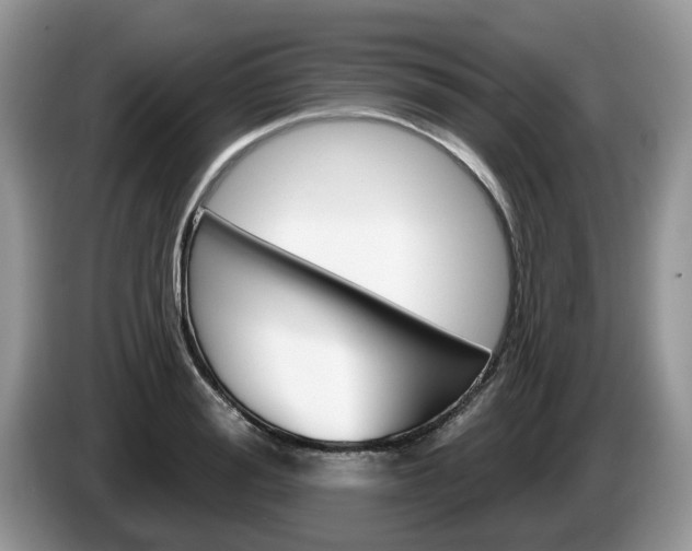X0000087610988200704271058