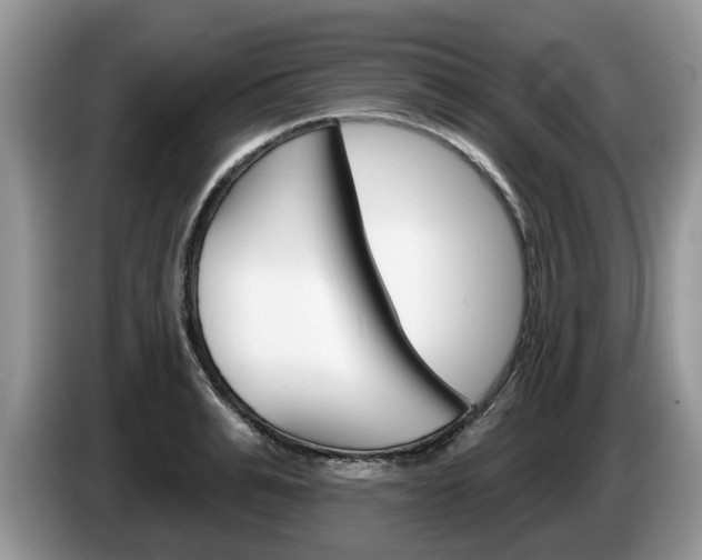 X0000087610991200704271057