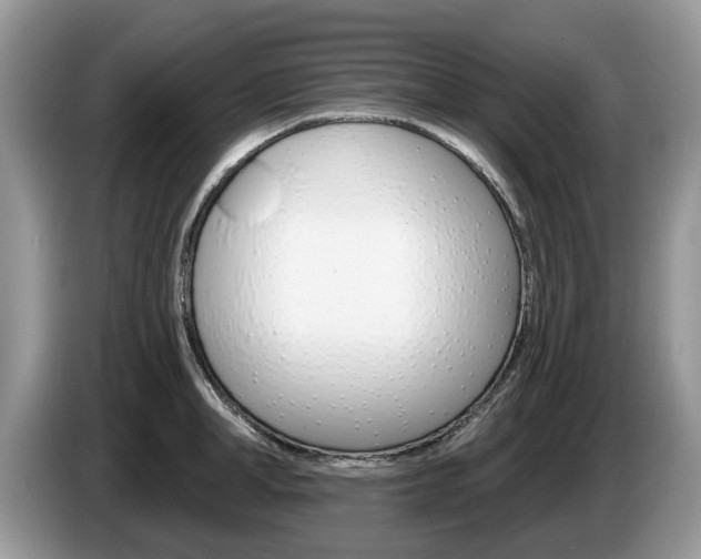 X0000087610998200704271057