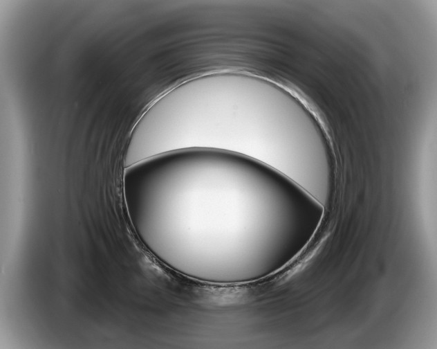 X0000087611001200704271057