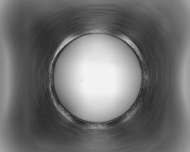 X0000087611002200704271057