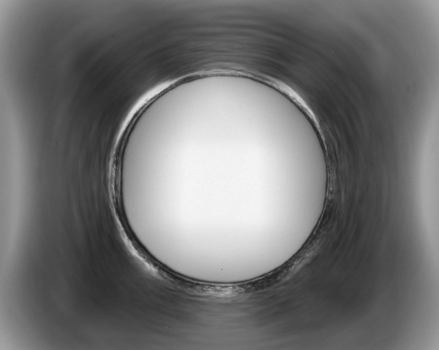 X0000087611003200704271057