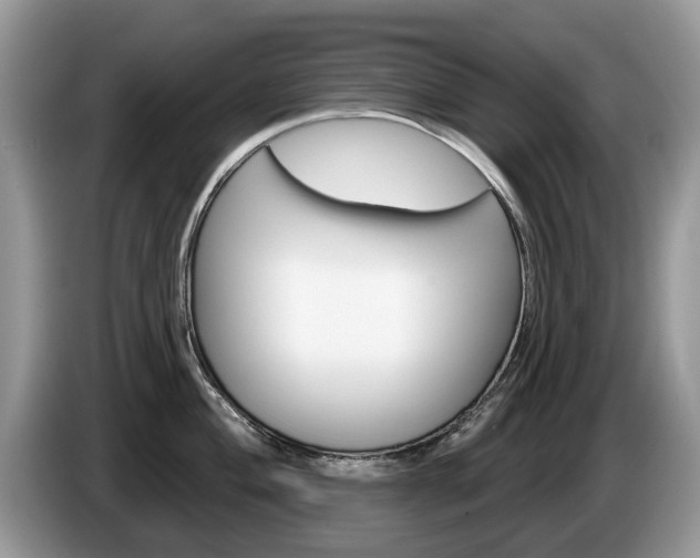 X0000087611004200704271057