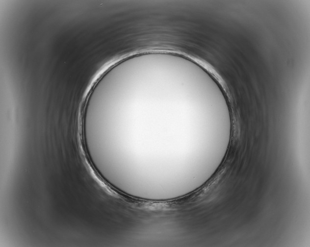 X0000087611006200704271057