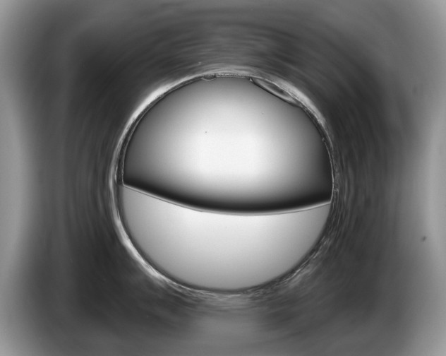 X0000087611007200704271057