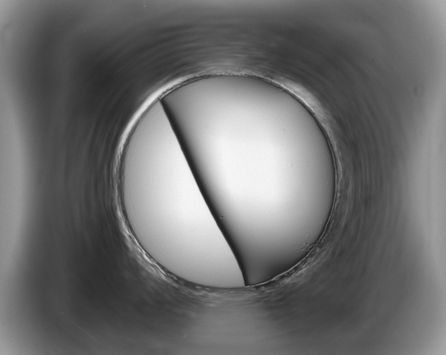 X0000087611008200704271057