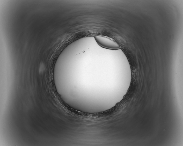 X0000087611009200704271057