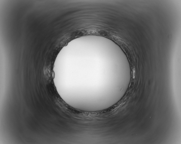 X0000087611011200704271057