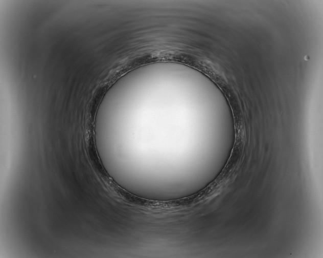 X0000087611012200704271057