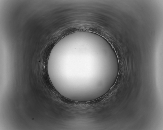 X0000087611013200704271057