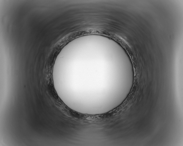 X0000087611015200704271057