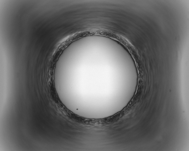 X0000087611016200704271057