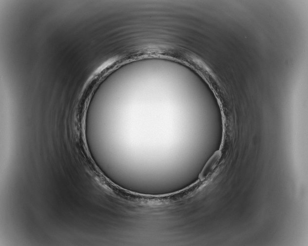 X0000087611018200704271057