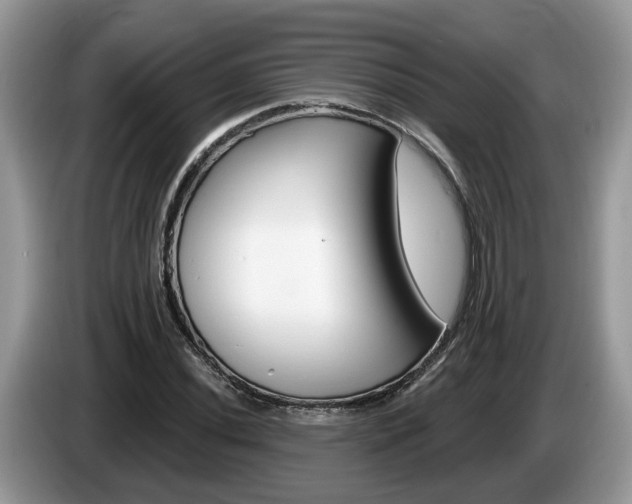 X0000087611020200704271057