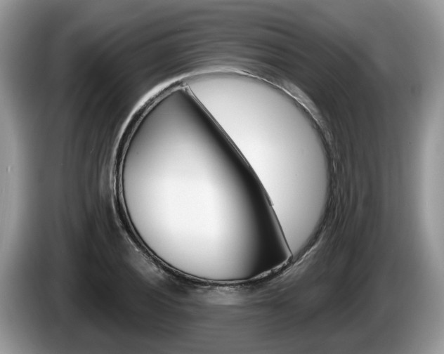 X0000087611028200704271057