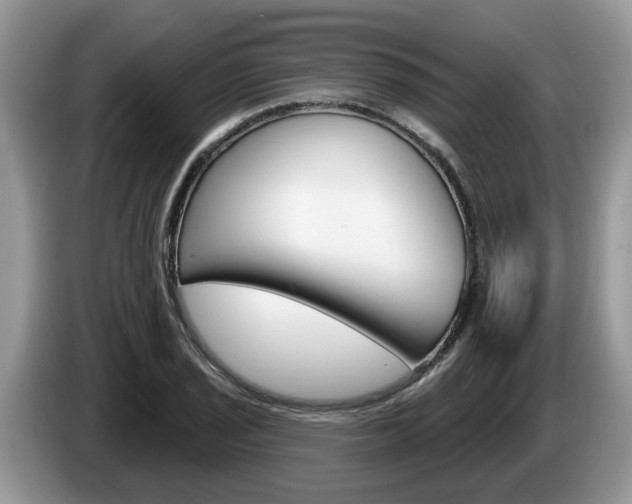 X0000087611029200704271057