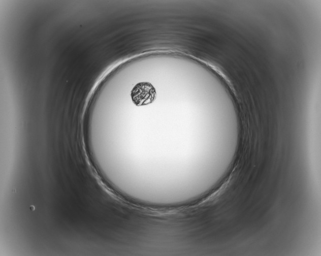 X0000087611030200704271057