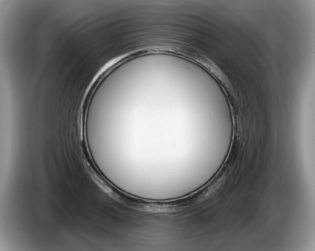 X0000087611036200704271057