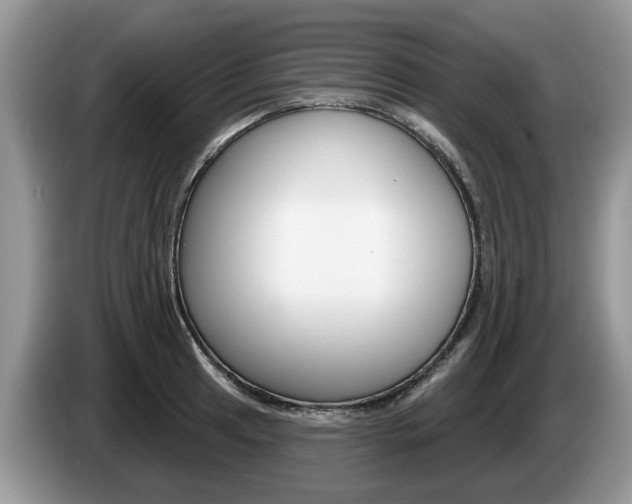 X0000087611041200704271057