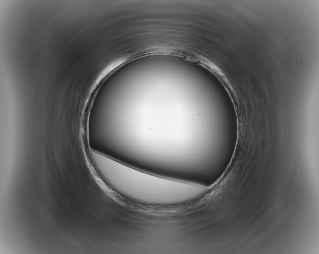 X0000087611042200704271057