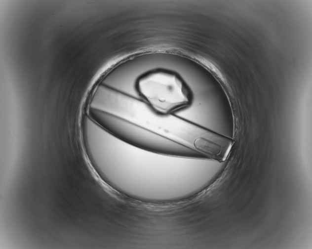 X0000087611046200704271057
