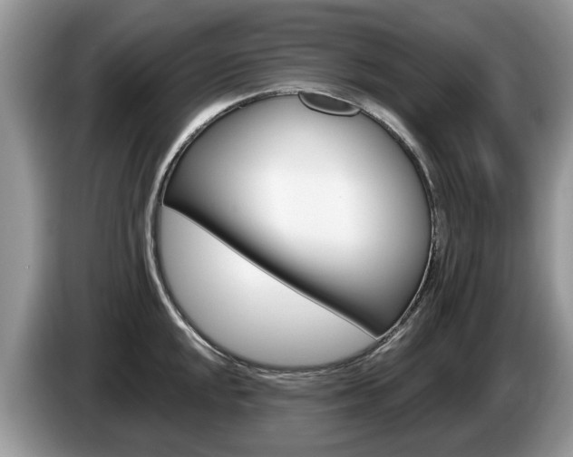 X0000087611048200704271057