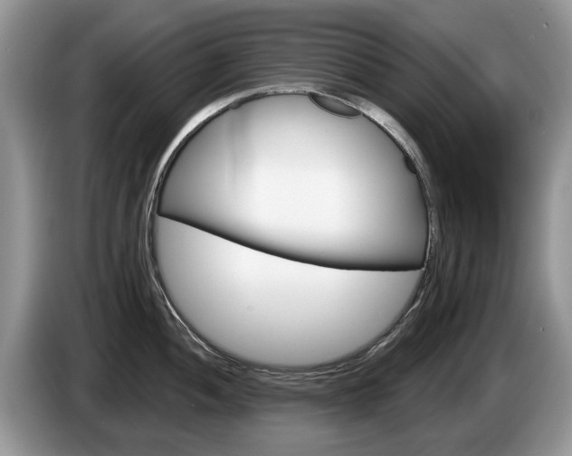 X0000087611052200704271057