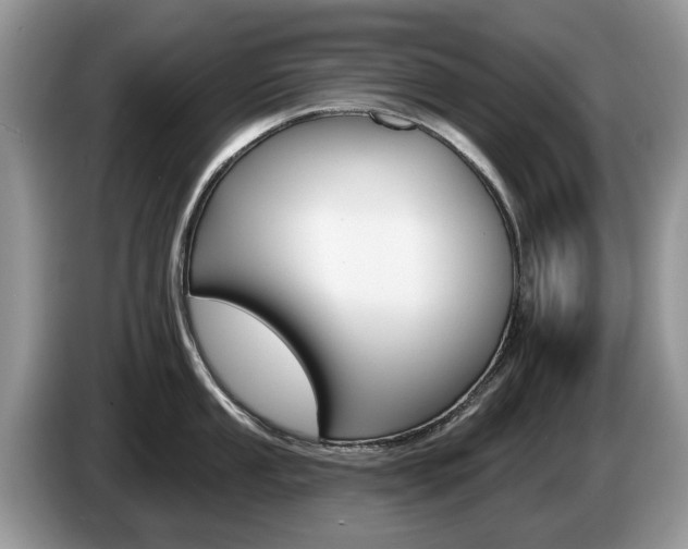 X0000087611053200704271057