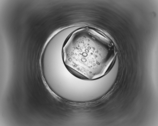 X0000087611054200704271057