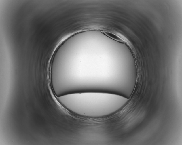 X0000087611055200704271057