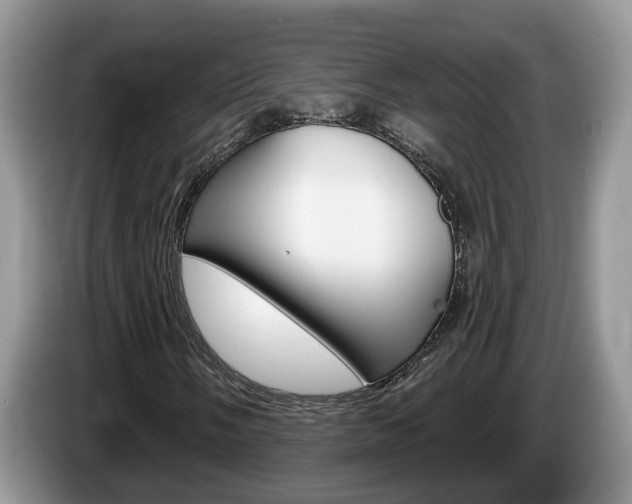 X0000087611058200704271057