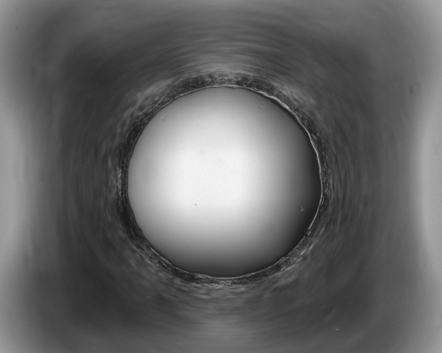 X0000087611061200704271057