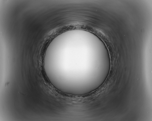X0000087611062200704271057