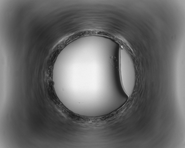 X0000087611064200704271057