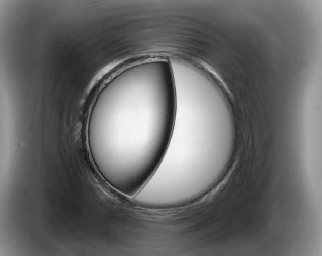 X0000087611066200704271057