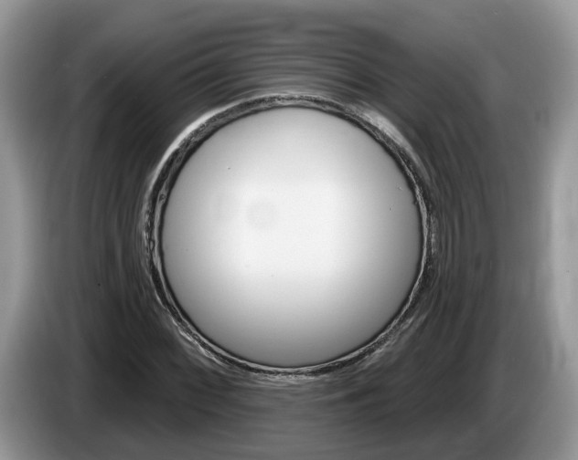 X0000087611068200704271057