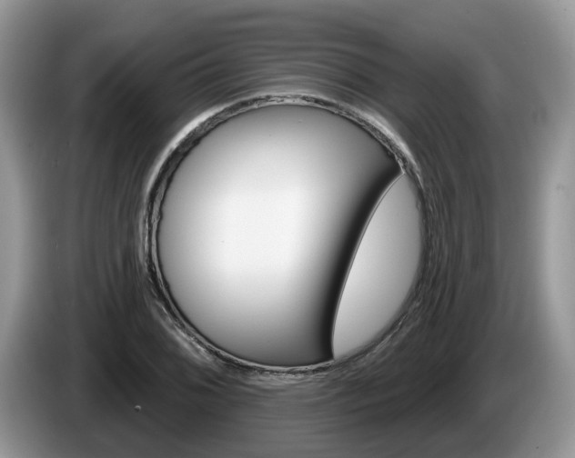X0000087611076200704271057