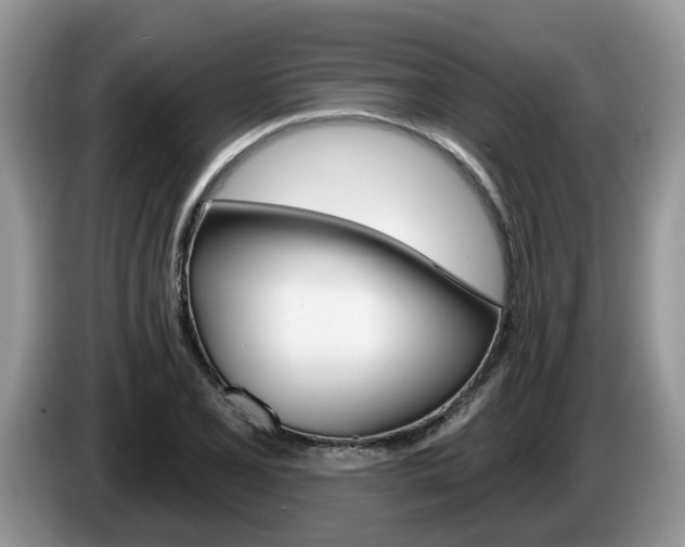 X0000087611077200704271057