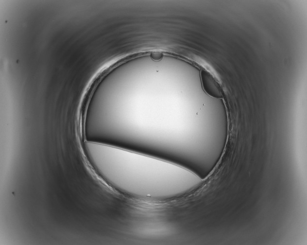 X0000087611080200704271056