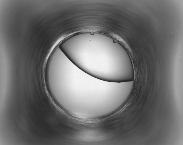 X0000087611083200704271056