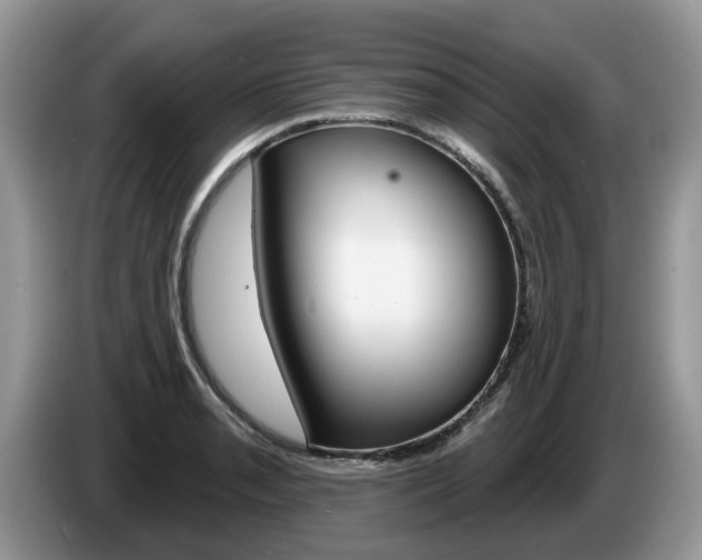 X0000087611085200704271056