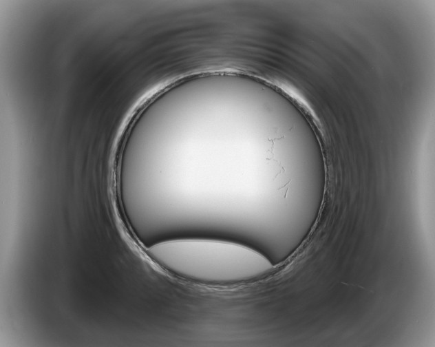 X0000087611088200704271056